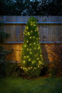 100 Warm White LEDs String Lights