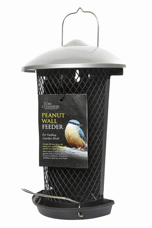 Peanut Wall Feeder