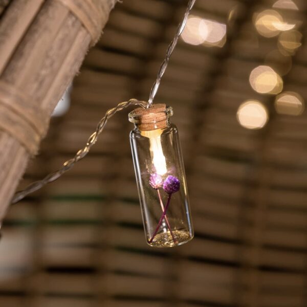 Solar Powered & USB Flower Jar String Lights