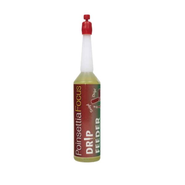 Poinsettia Focus Drip Feeder