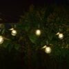 Vivo 365 String Lights - Set of 8 10L