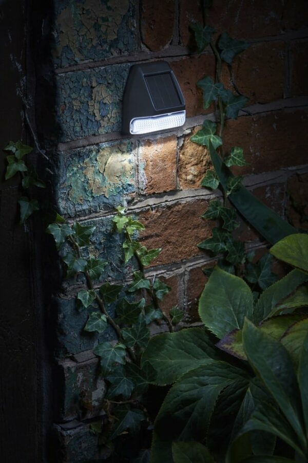 Wall, Fence & Post Light 3L