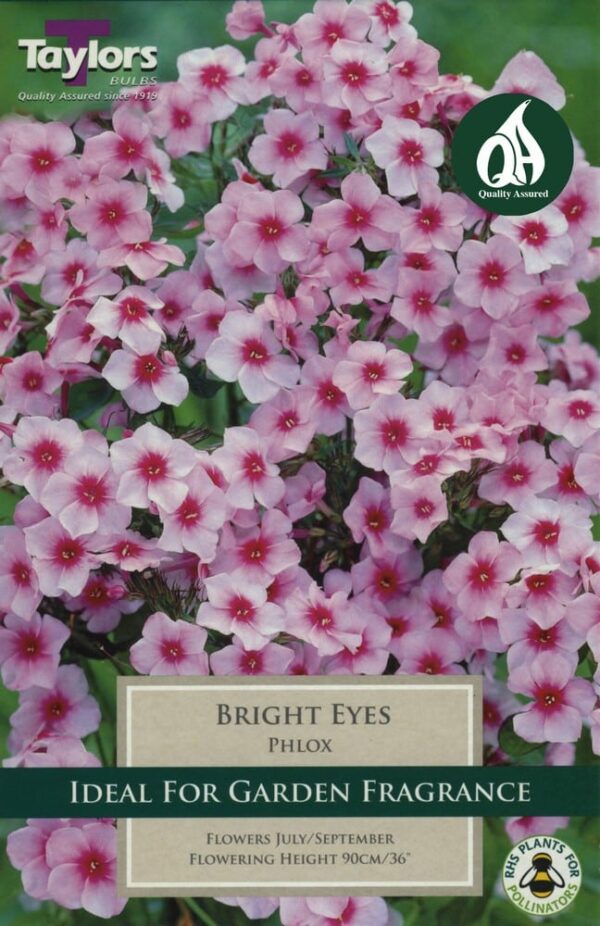 Phlox Bright Eyes