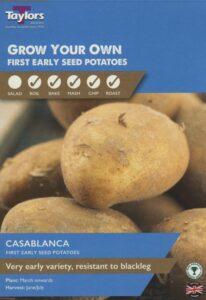 10 Pck Casablanca Seed Potatoes