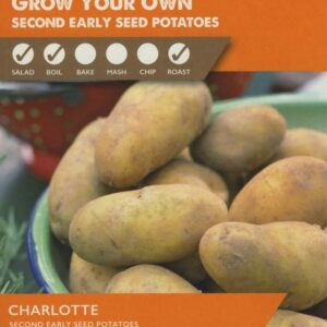 10 Pack Charlotte Seed Potatoes