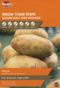 10 Pack Wilja Seed Potatoes
