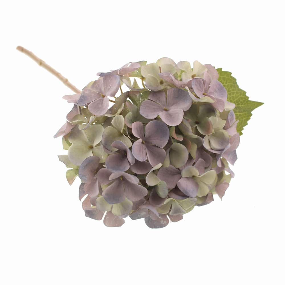 Lilac Autumn Hydrangea