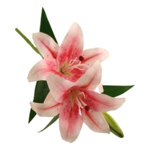 Pink Stargazer Lily Pick With Bud