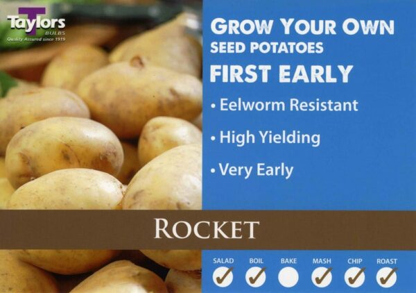 2kg Rocket Seed Potatoes