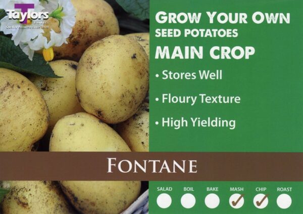 2kg Fontane Seed Potatoes