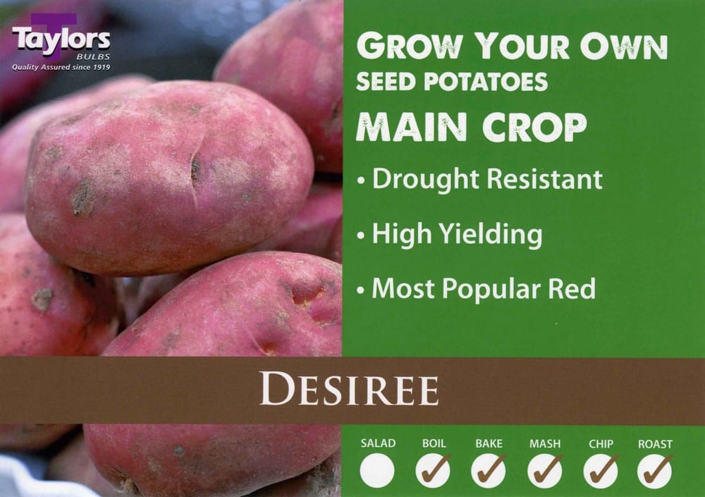 2kg Desiree Seed Potatoes