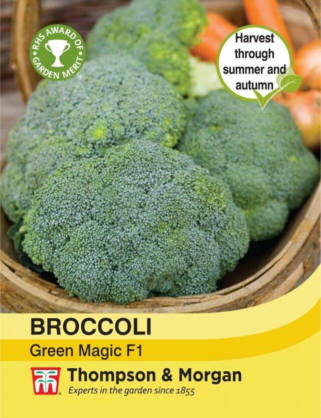 Broccoli Green Magic F1 Hybrid - Gordon Rigg