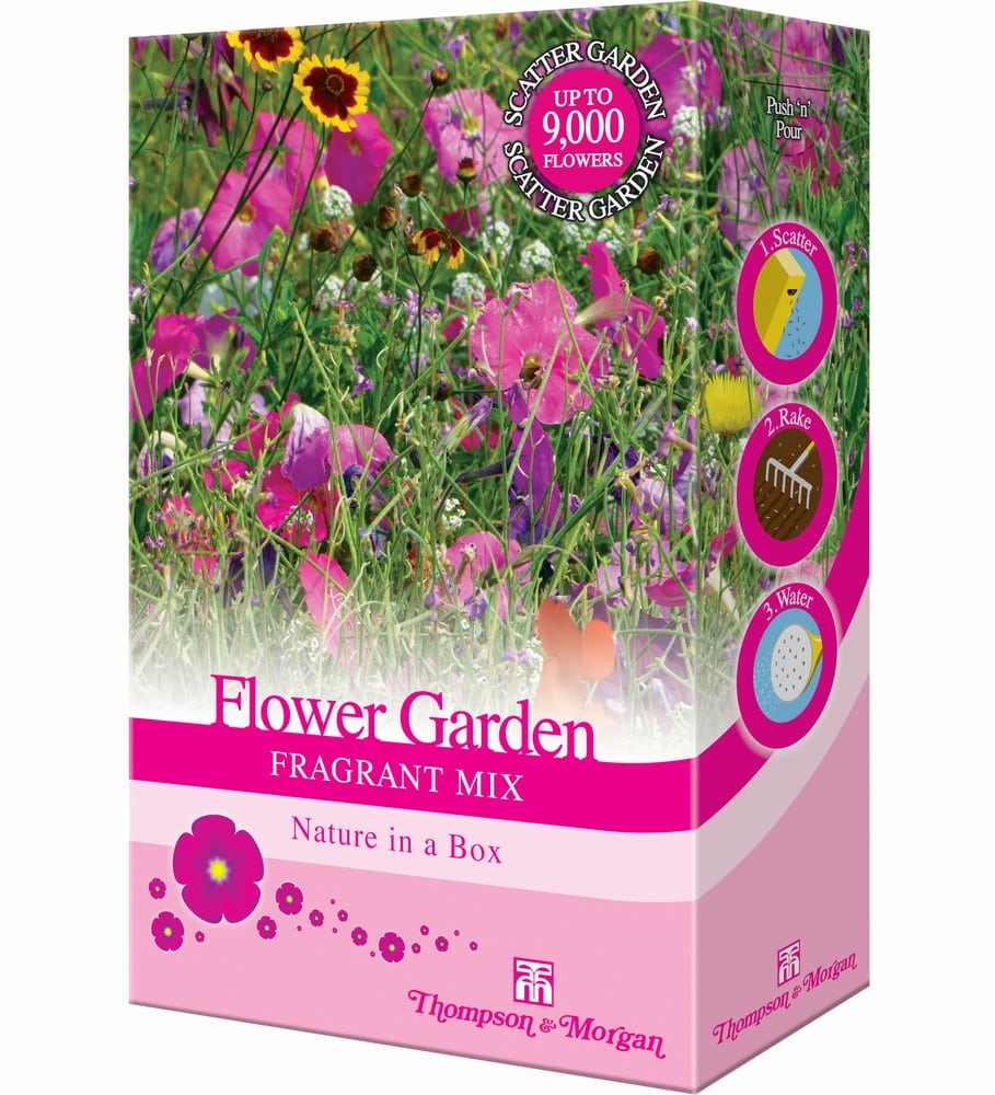 Flower Garden Fragrant Annuals Mix