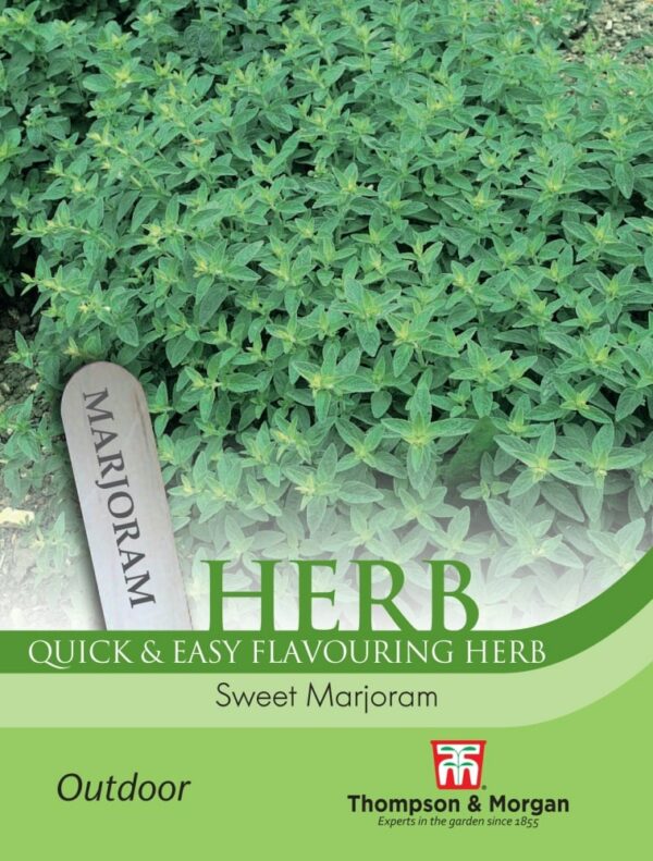Herb Marjoram Sweet