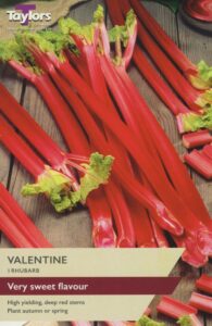 1 Rhubarb Valentine