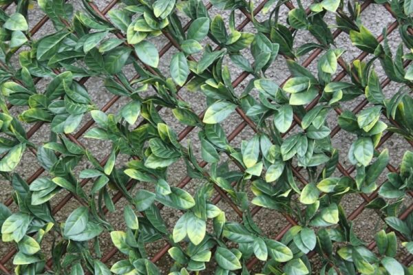 Laurel Leaf Trellis