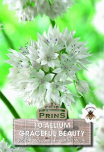 Allium Graceful Beauty growing in a garden.