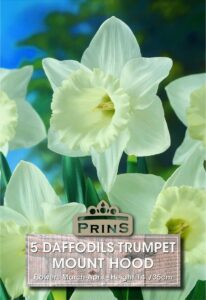 Daffodils Mount Hood