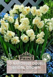 Narcissus Bridal Crown