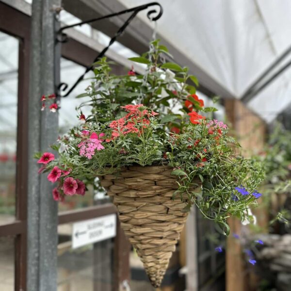Hanging basket with flowers