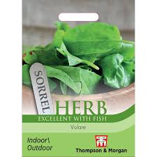 Herb Sorrel