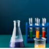 Wild Science Experiment Party