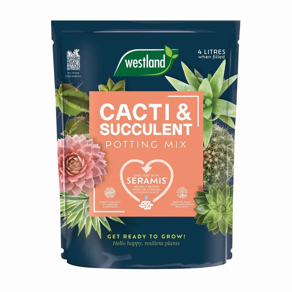 Cacti & Succulent Potting Mix Peat Free 4L