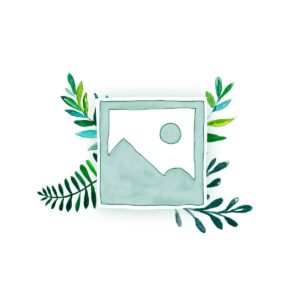 Test Pre-Order Product