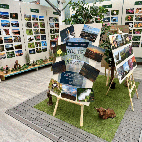 2026 calendar entries - voting now open