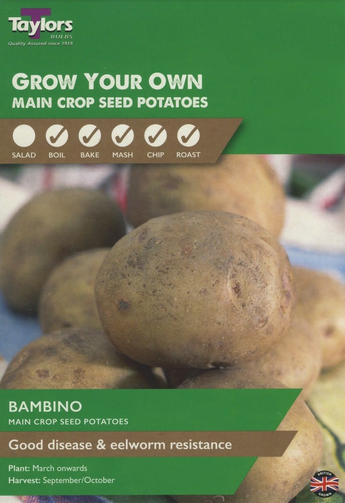 Seed Potatoes Now In Stock - Bambino