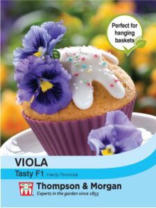 Pansy Tasty F1 Hybrid seeds