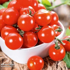 Tomato Consuelo (Crimson Cherry) seeds