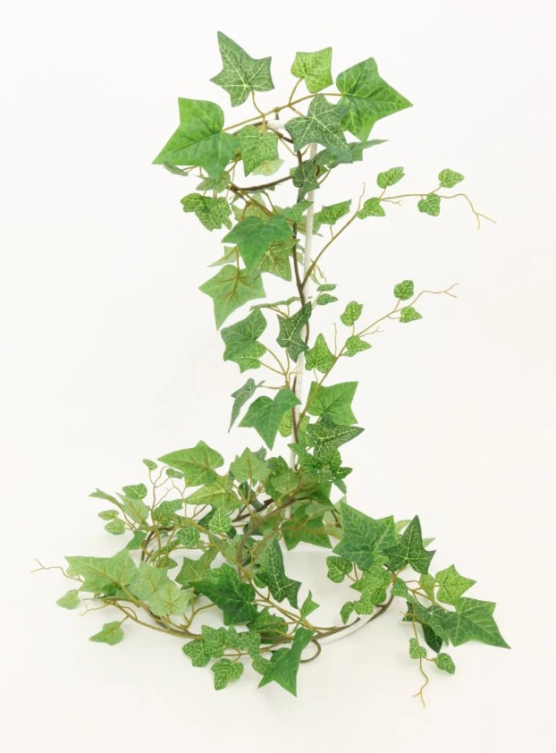 Vined Ivy Garland