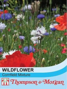 Wild Flower Cornfield seeds Mixture
