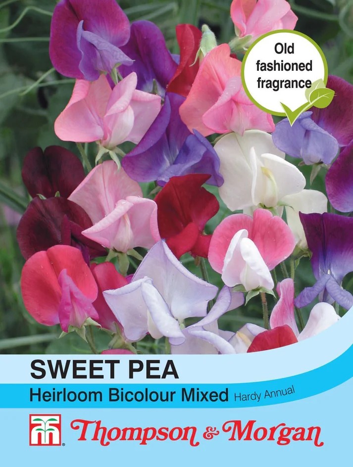 Sweet Pea Heirloom Bicolour seed Mix