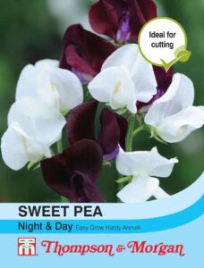 Sweet Pea Night & Day seeds