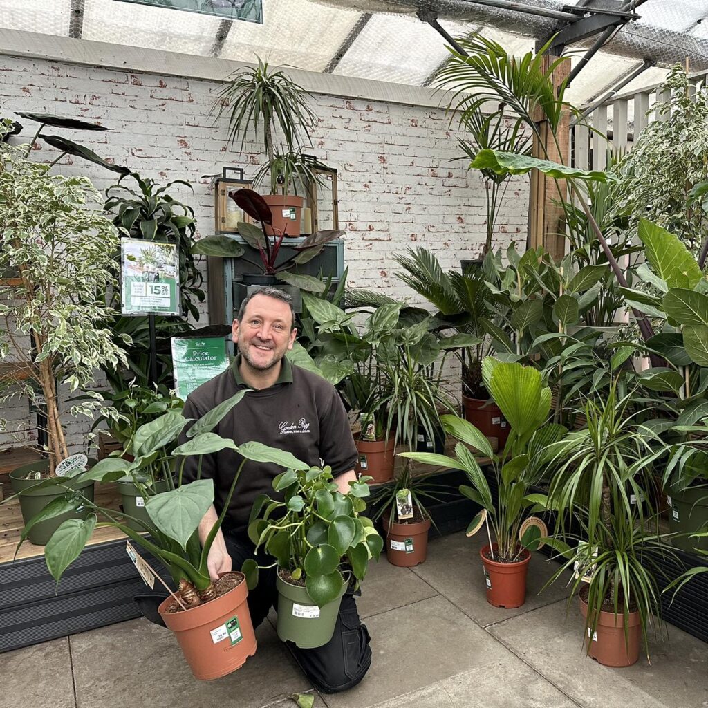 Houseplants - Gordon Rigg