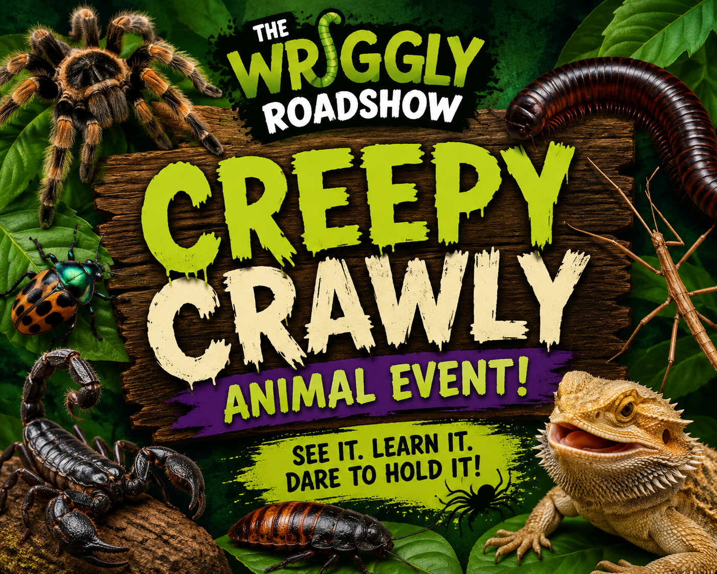 The Halloween Wriggly Roadshow – Creepy Crawly Animal Experience
