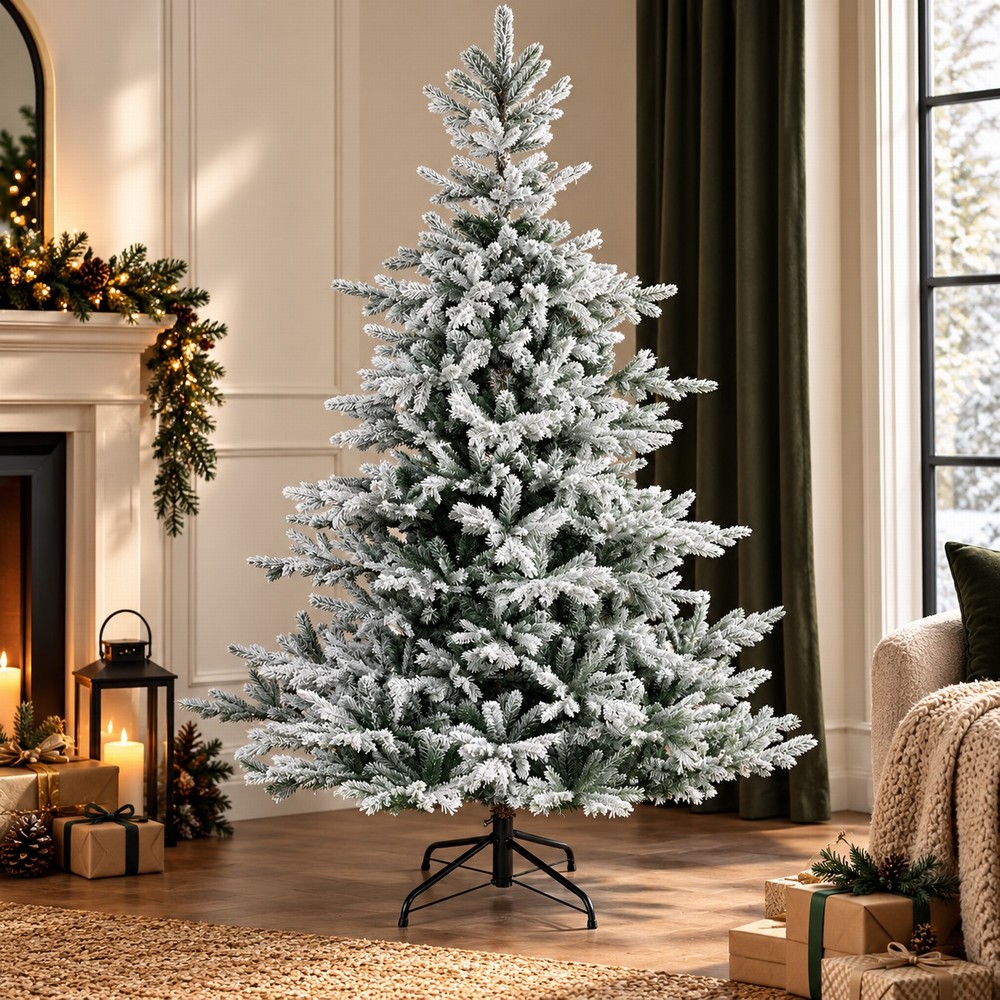 7ft Snowy Grandis Fir